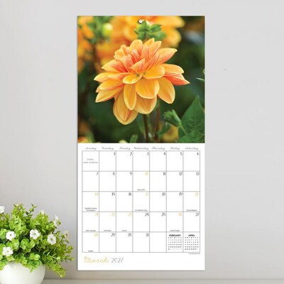 2027 TF Publishing Flowers 7" x 7" Monthly Wall Calendar, Multicolored (27-2014)