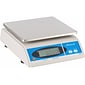 Brecknell Digital General-Purpose Bench Scale, 30 lb. Capacity (405-LCD)