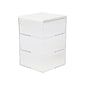 Martha Stewart Brody Plastic Storage Organizer Bin with White Engineered Wood Lid, Clear, 3/Set (BEPB45173WDCLWH)