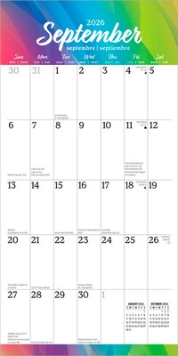 2026 BrownTrout Big & Bright Large Print 12" x 12" Monthly Wall Calendar (9798330702459)