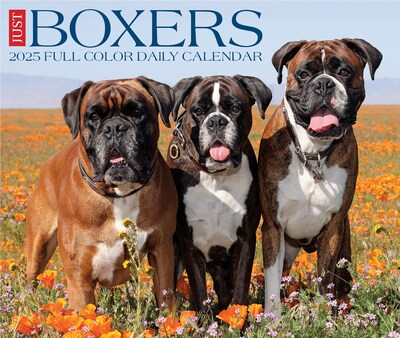 2025 Willow Creek Boxers 6" x 5.5" Day-to-Day Calendar (40690)