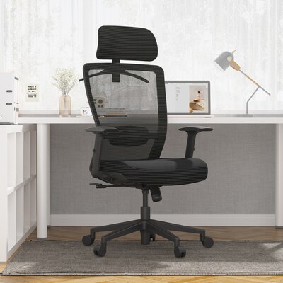 FlexiSpot Ergonomic Mesh Swivel Computer and Desk Chair, Black (C3B-FM)
