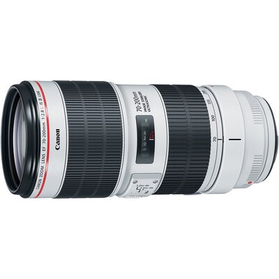 Canon EF 70-200mm f/2.8L IS III USM Lens (3044C002)