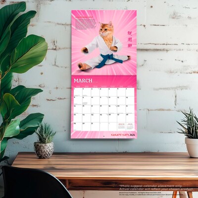 2026 BrownTrout Karate Cats 12" x 12" Monthly Wall Calendar (9798330701889)