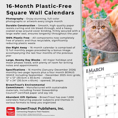 2026 BrownTrout Kittens & Puppies 12" x 12" Monthly Wall Calendar (9798330704101)