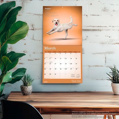 2026 BrownTrout Yoga Dogs 12" x 12" Monthly Wall Calendar (9798330701933)