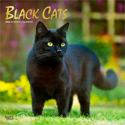 2026 BrownTrout Black Cats 12 x 12 Monthly Wall Calendar (9798330702480)