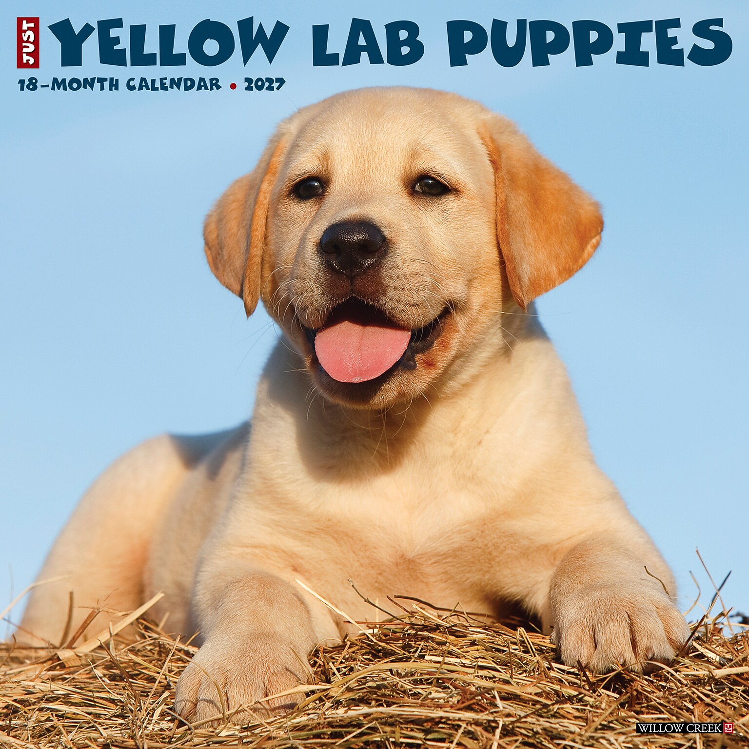 2027 Willow Creek Yellow Lab Puppies 12 x 12 Monthly Wall Calendar, Assorted Colors (63088)