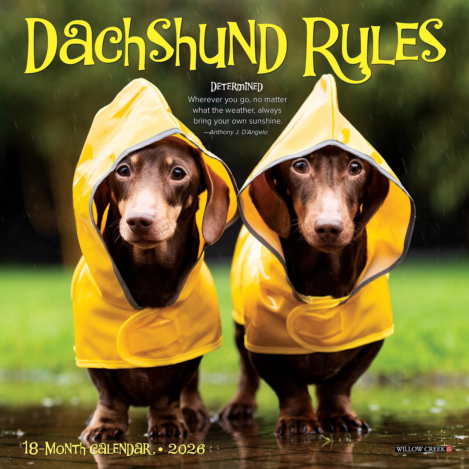 2026 Willow Creek Dachshund Rules 7 x 7 Monthly Wall Calendar (53546)