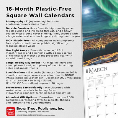 2025 BrownTrout Norway 12" x 12" Monthly Wall Calendar (9781975476182)