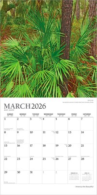 2026 Plato America the Beautiful 12" x 12" Monthly Wall Calendar (9798330706600)