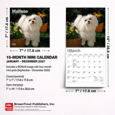 2027 BrownTrout Maltese 7" x 7" Monthly Wall Calendar (9798330710041)