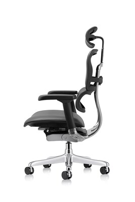 Eurotech Ergohuman Gen2 High Back Leather Office Chair w/ Headrest, Black (LE9ERG-GEN2)