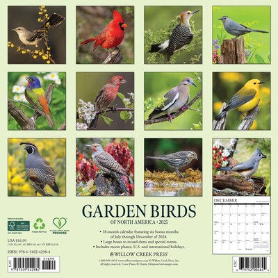 2025 Willow Creek Garden Birds of North America 12 x 12 Monthly Wall Calendar (42984)