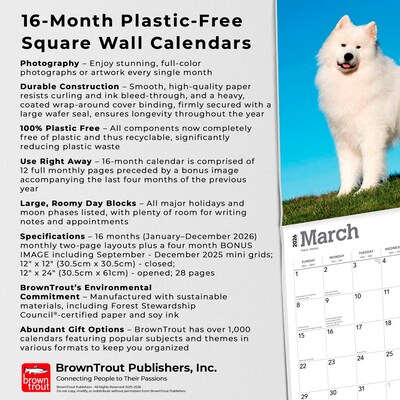 2026 BrownTrout Samoyeds 12" x 12" Monthly Wall Calendar (9798330705412)