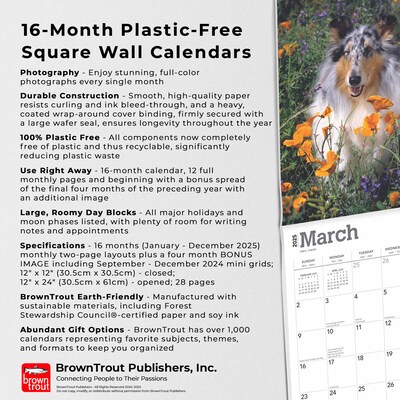 2025 BrownTrout Collies 12" x 24" Monthly Square Wall Calendar, (9781975476861)