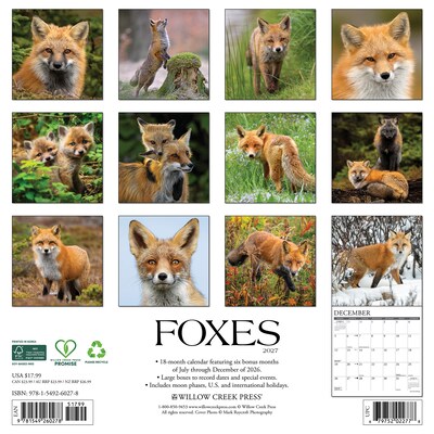 2027 Willow Creek Foxes 12 x 12 Monthly Wall Calendar, Assorted Colors (60278)