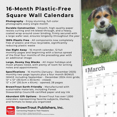 2025 BrownTrout Jack Russell Terrier Puppies 12" x 12" Monthly Wall Calendar (9781975477226)