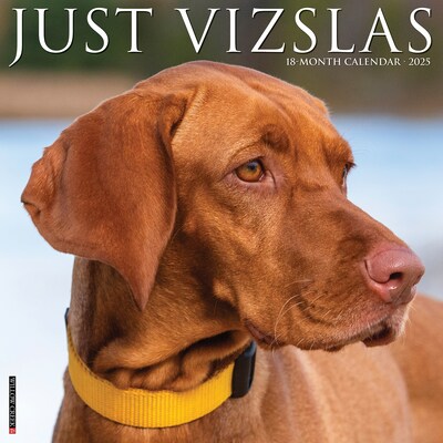 2025 Willow Creek Just Vizslas 12 x 12 Monthly Wall Calendar (45268)