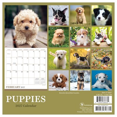 2027 TF Publishing Puppies 7" x 7" Monthly Wall Calendar, Multicolored (27-2007)