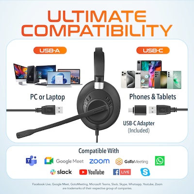 Delton 40Y USB Mono Computer Headset with ENC Microphone and USB-C Adapter, Black (DWH40YAC)
