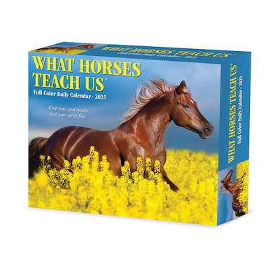 2025 Willow Creek What Horses Teach Us 6 x 5.5 Day-to-Day Calendar (41123)
