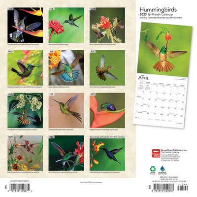 2023 BrownTrout Hummingbirds 12 x 24 Monthly Wall Calendar, (9781975449087)