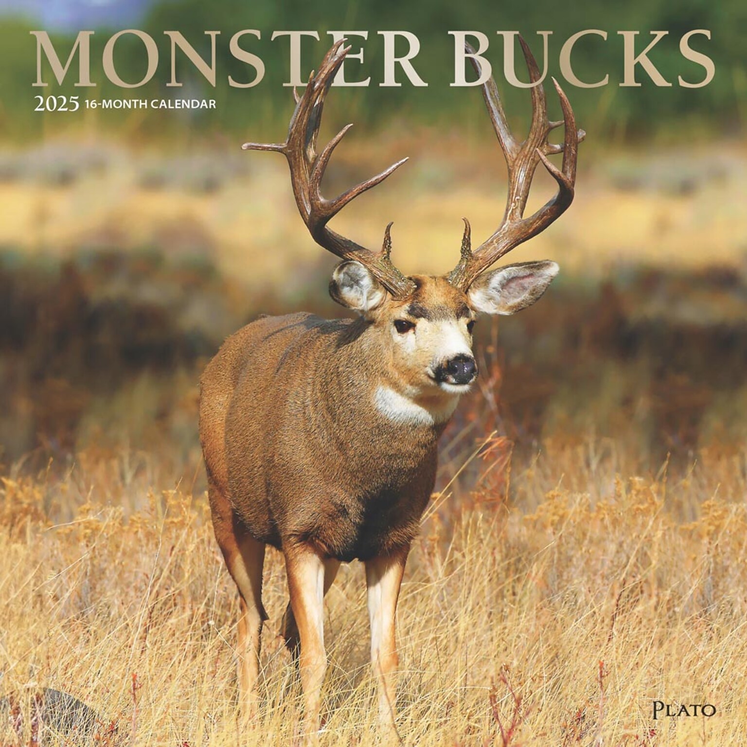 2025 Plato Monster Bucks 12 x 24 Monthly Square Wall Calendar, (9781975480769)