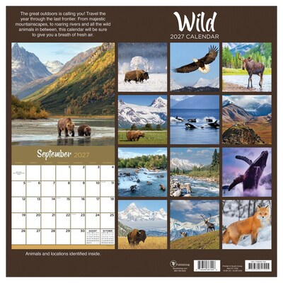 2027 TF Publishing Wild 11" x 12" Monthly Wall Calendar, Multicolored (27-1032)