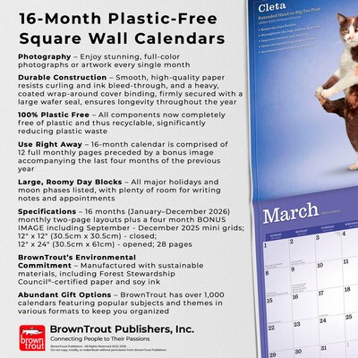 2026 BrownTrout Yoga Cats 12" x 12" Monthly Wall Calendar (9798330701919)