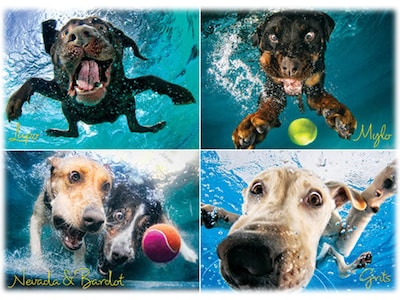 Willow Creek Underwater Dogs: Splash 1000-Piece Jigsaw Puzzle (39996)