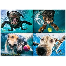 Willow Creek Underwater Dogs: Splash 1000-Piece Jigsaw Puzzle (39996)