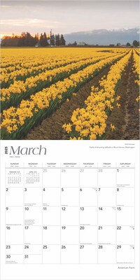 2025 BrownTrout American Farm 12" x 12" Monthly Wall Calendar (9781975474454)