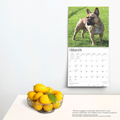 2025 BrownTrout French Bulldogs 12" x 12" Monthly Square Wall Calendar (9781975476984)