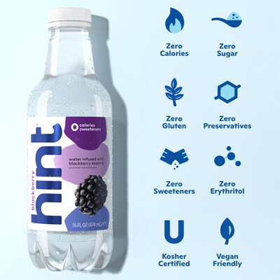 Hint Blackberry Flavored Water, 16 oz., 12/Carton (00034)