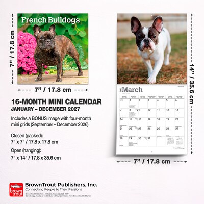 2027 BrownTrout French Bulldogs 7" x 7" Monthly Wall Calendar, Assorted Colors (9798330709991)