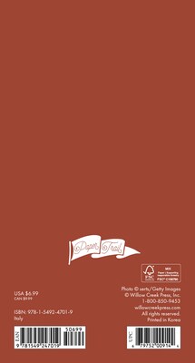 2025-2026 Willow Creek Italy 3.5 x 6.5 Yearly Planner, Paperboard Cover (47019)