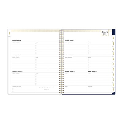 2026 Blue Sky Day Designer Meadow 8.5 x 11  Weekly & Monthly Planner, Plastic Cover, Multicolored (147222-26)