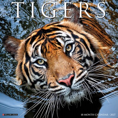 2027 Willow Creek Tigers 12 x 12 Monthly Wall Calendar, Assorted Colors (62616)