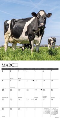 2026 Willow Creek Cows 12" x 12" Monthly Wall Calendar (50903)
