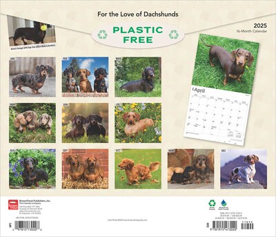 2025 BrownTrout For the Love of Dachshunds 7 x 12 Monthly Deluxe Wall Calendar (9781975473020)