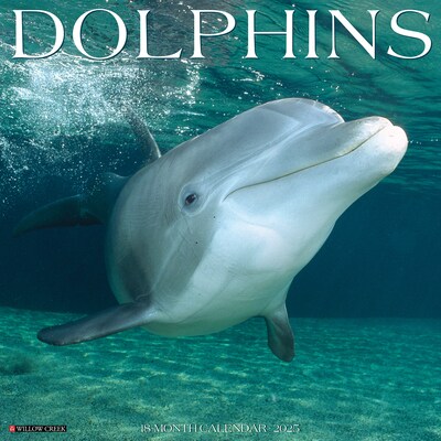 2025 Willow Creek Dolphins 12 x 12 Monthly Wall Calendar (42748)