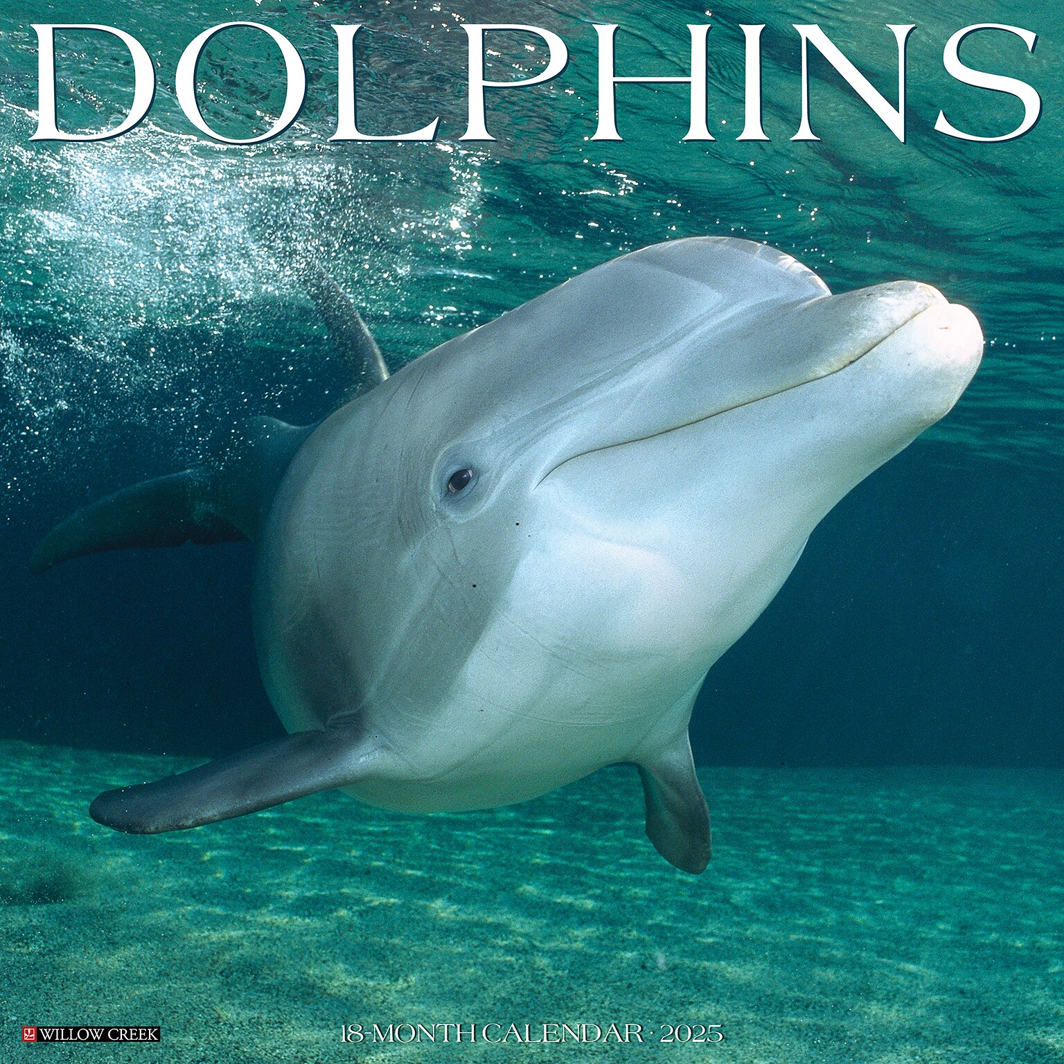 2025 Willow Creek Dolphins 12 x 12 Monthly Wall Calendar (42748)