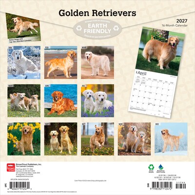 2027 BrownTrout Golden Retrievers 12 x 12 Monthly Wall Calendar (9798330712472)