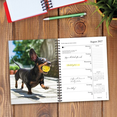 2027 Willow Creek What Dogs Teach Us 6.5" x 8.5" Weekly & Monthly Desk Calendar (64450)