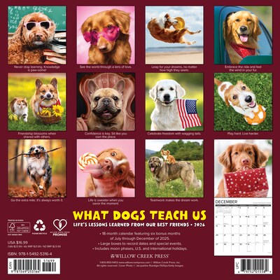 2026 Willow Creek What Dogs Teach Us 12 x 12 Monthly Wall Calendar (53164)