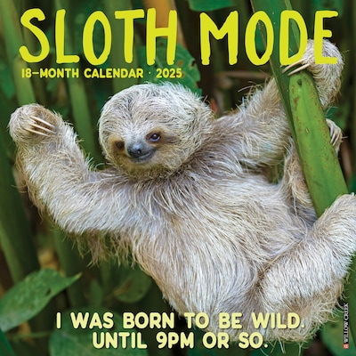 2025 Willow Creek Sloth Mode 12 x 12 Monthly Wall Calendar (44933)