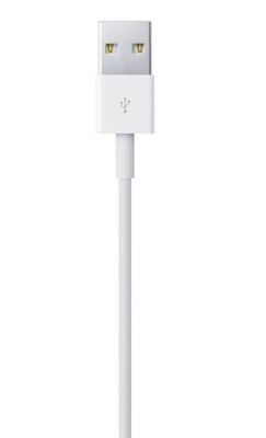 Apple 3.3 Foot Lightning to USB Cable - White (MUQW3AM/A)