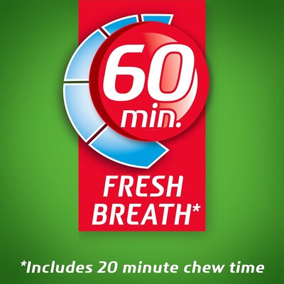 Dentyne Ice Sugar Free Spearmint Gum, 9 Packs/Box (VAM05114)