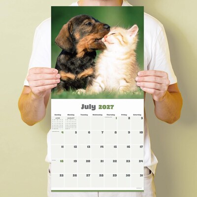 2027 TF Publishing Furry Friends 12" x 12" Monthly Wall Calendar (27-1011)